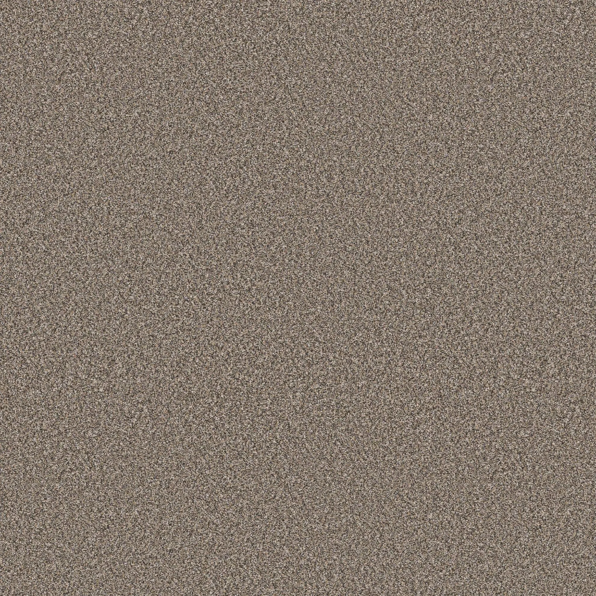 Shaw Elevated III Carpet in Prairie
