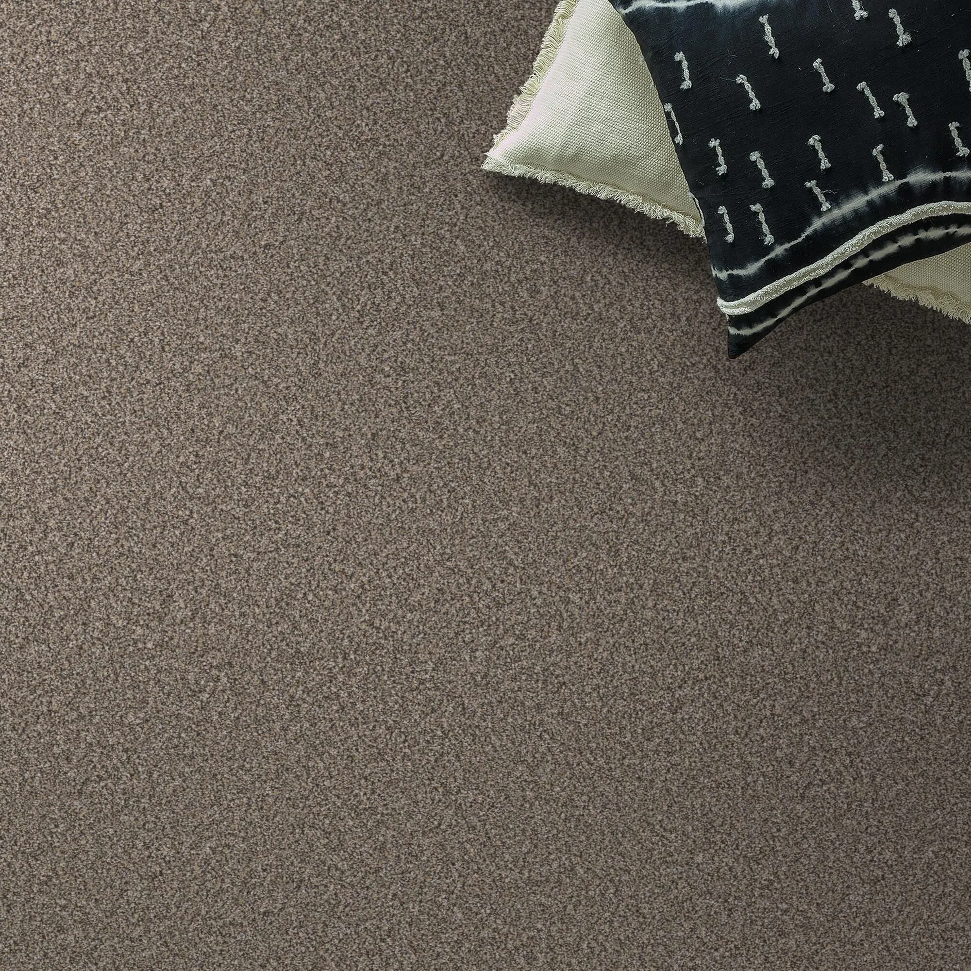 Shaw Elevated III Carpet in Prairie